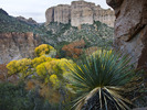 photo thumbnail #6