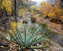 photo thumbnail #8
