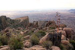 photo thumbnail #5