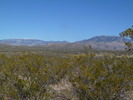 photo thumbnail #4
