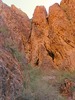 photo thumbnail #15