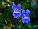 photo thumbnail #10