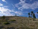photo thumbnail #13