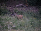 photo thumbnail #14