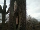 photo thumbnail #4