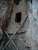 photo thumbnail #13