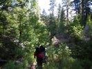 photo thumbnail #1