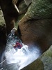 photo thumbnail #9