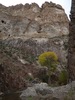 photo thumbnail #11
