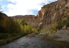 photo thumbnail #15