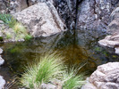 photo thumbnail #13