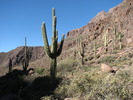 photo thumbnail #7