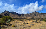 photo thumbnail #3