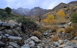photo thumbnail #6