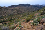 photo thumbnail #11