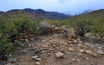photo thumbnail #13