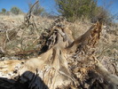 photo thumbnail #5