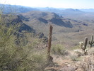 photo thumbnail #6