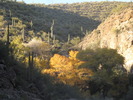 photo thumbnail #8
