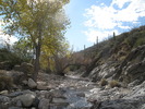 photo thumbnail #5