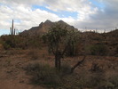 photo thumbnail #9