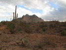 photo thumbnail #10