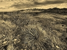 photo thumbnail #12