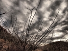 photo thumbnail #14