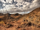 photo thumbnail #15