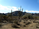 photo thumbnail #2