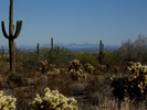 photo thumbnail #5
