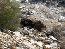 photo thumbnail #6