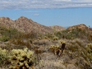 photo thumbnail #7