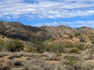 photo thumbnail #11
