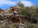 photo thumbnail #13