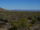 photo thumbnail #14