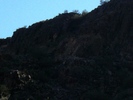 photo thumbnail #15