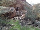 photo thumbnail #11