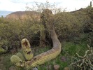 photo thumbnail #13