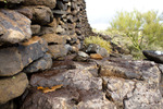 photo thumbnail #14