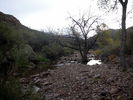 photo thumbnail #10