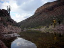 photo thumbnail #13