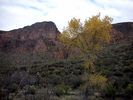photo thumbnail #14