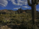photo thumbnail #4