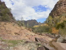 photo thumbnail #11