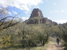 photo thumbnail #12