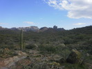 photo thumbnail #15