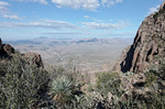 photo thumbnail #3