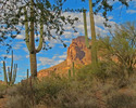 photo thumbnail #4