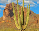 photo thumbnail #5